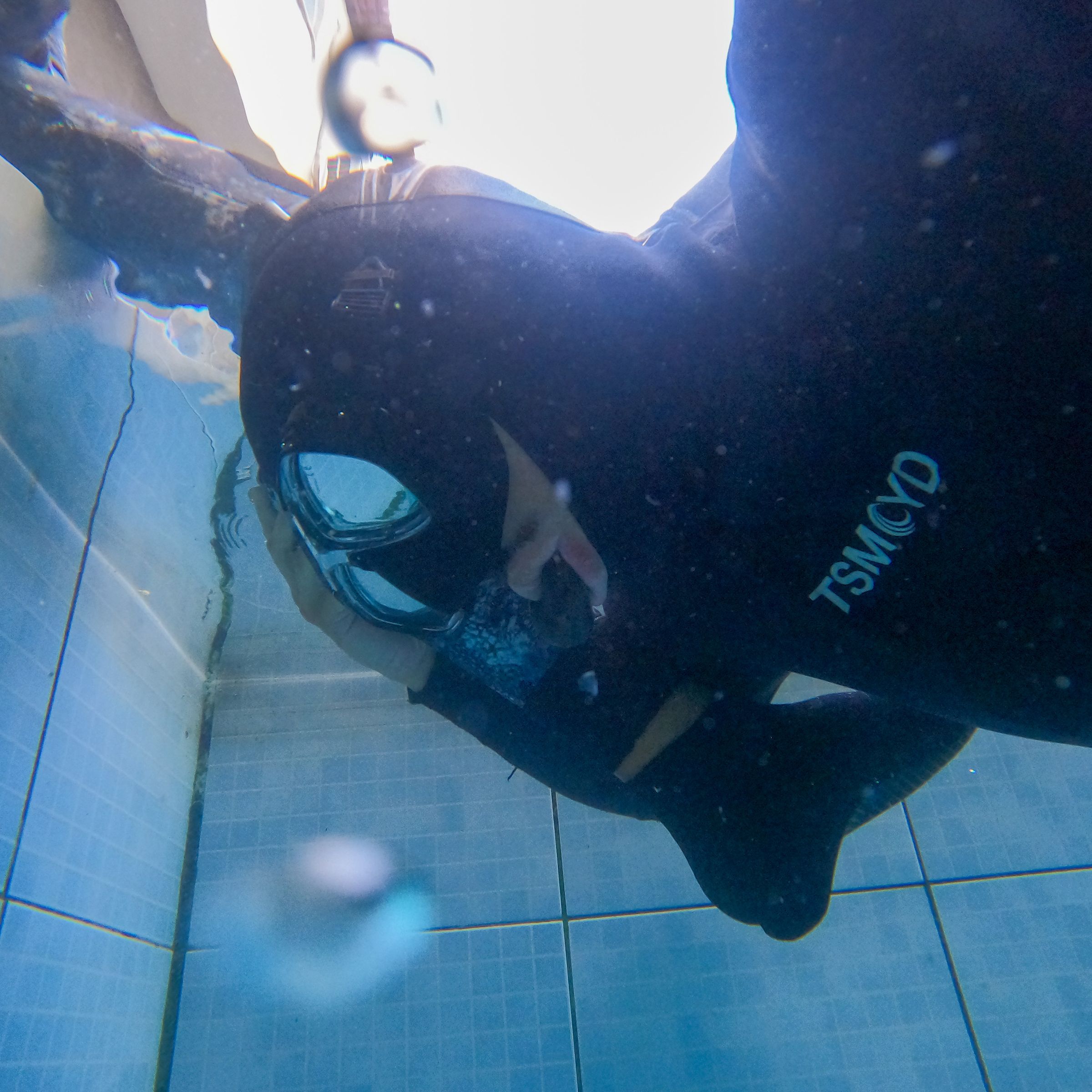 Curso de PESCA SUB em Vitória/ES - 4 - 25