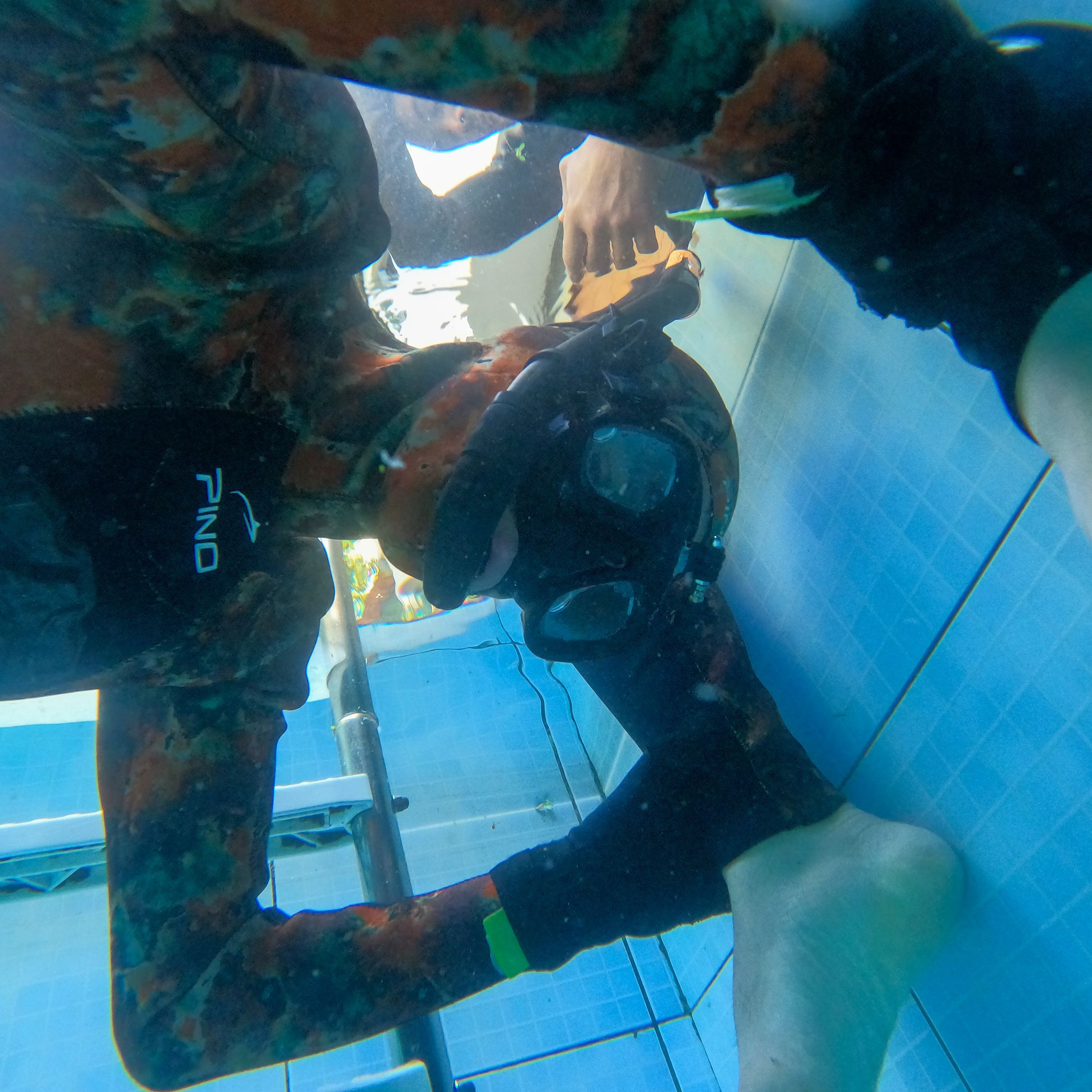 Curso de PESCA SUB em Vitória/ES - 4 - 24