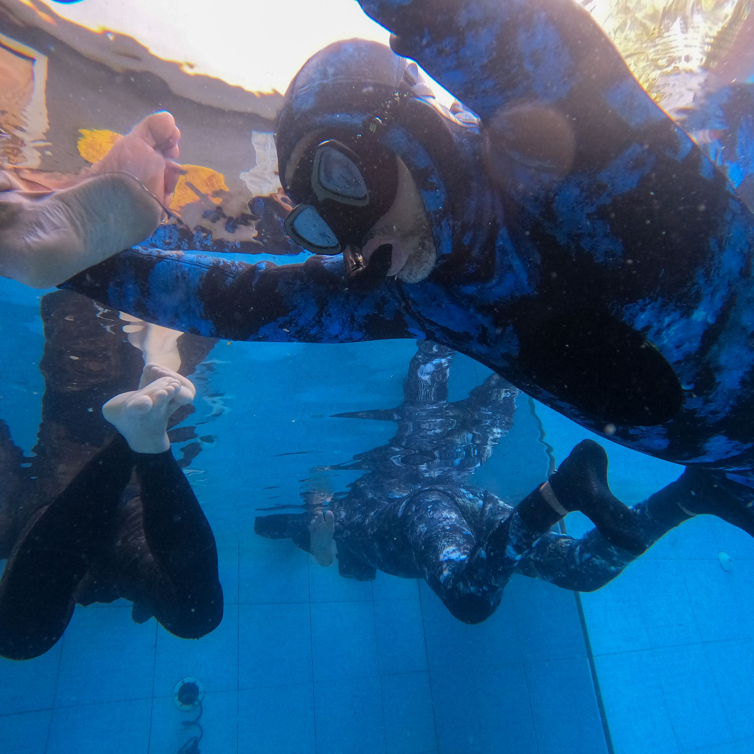 Curso de PESCA SUB em Vitória/ES - 4 - 35