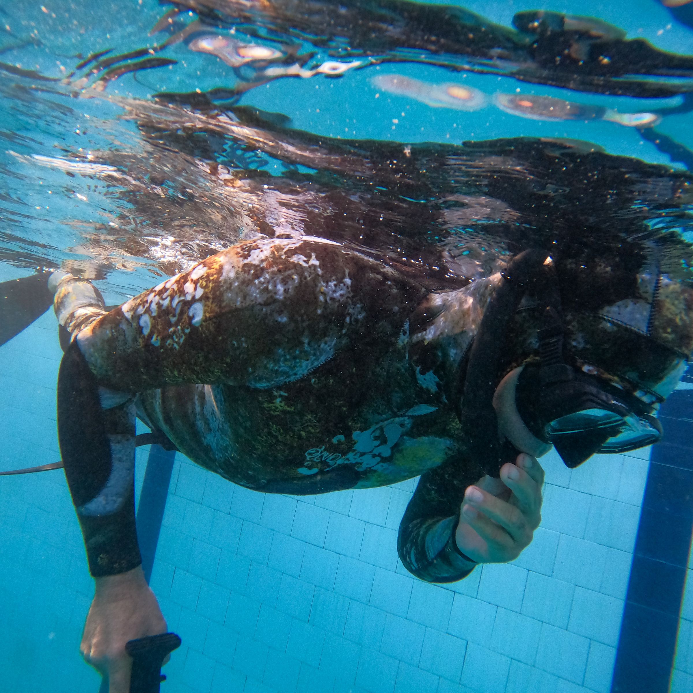 Curso de PESCA SUB em PARAGUAÇU PAULISTA/SP - 5 - 14