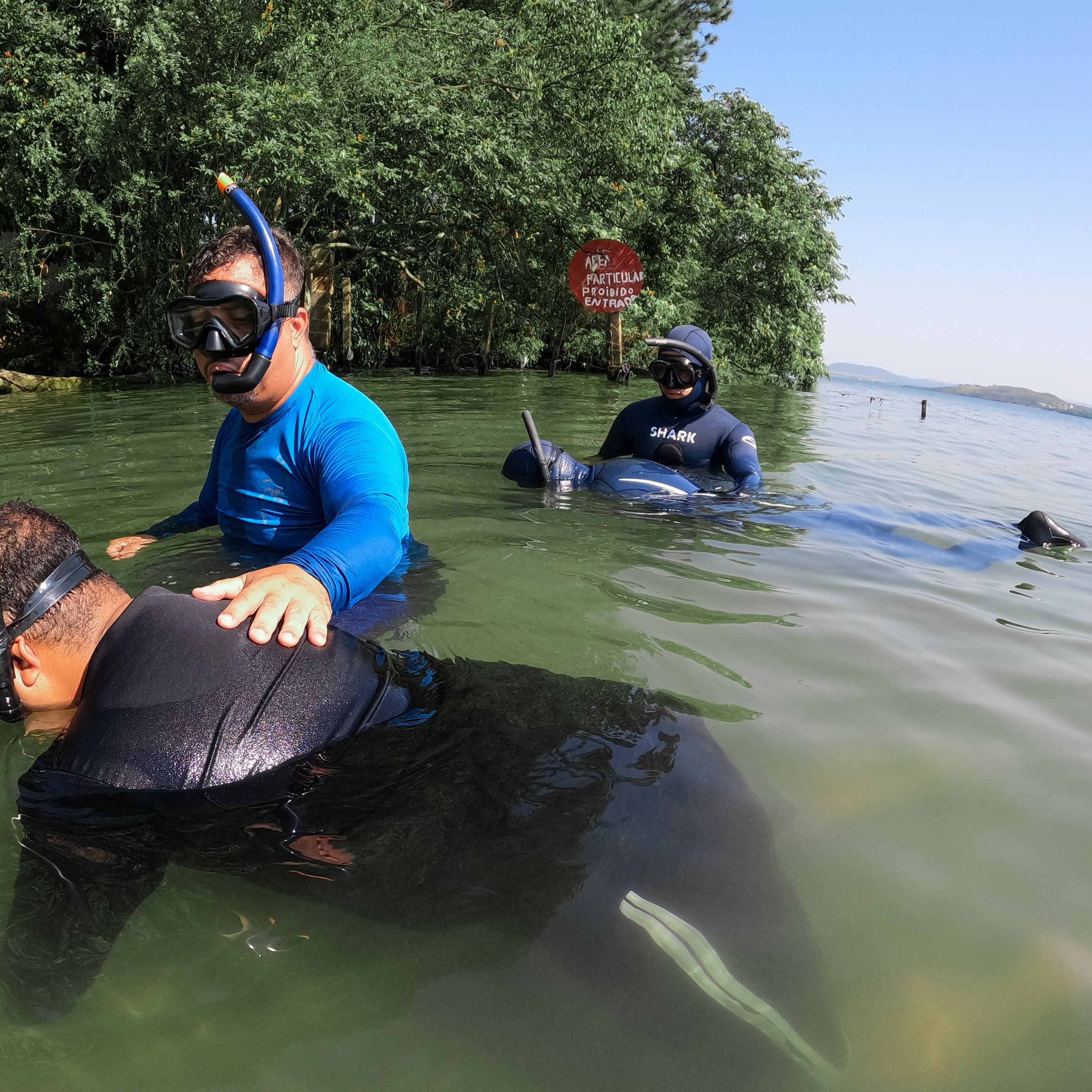 Curso de PESCA SUB em RIFAINA/SP - 4 - 16