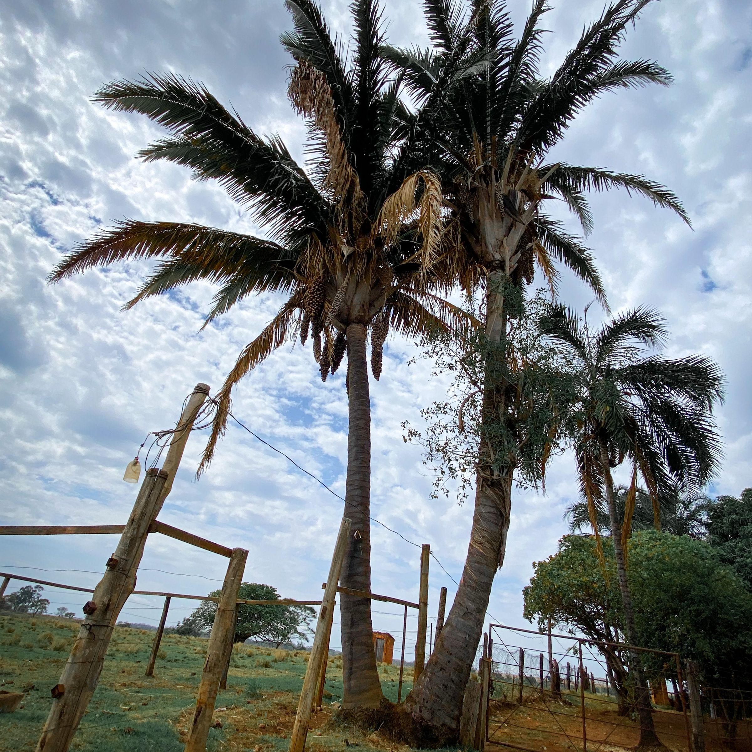 Curso de PESCA SUB em CONCEIÇÃO DAS ALAGOAS/MG - 4 - 51