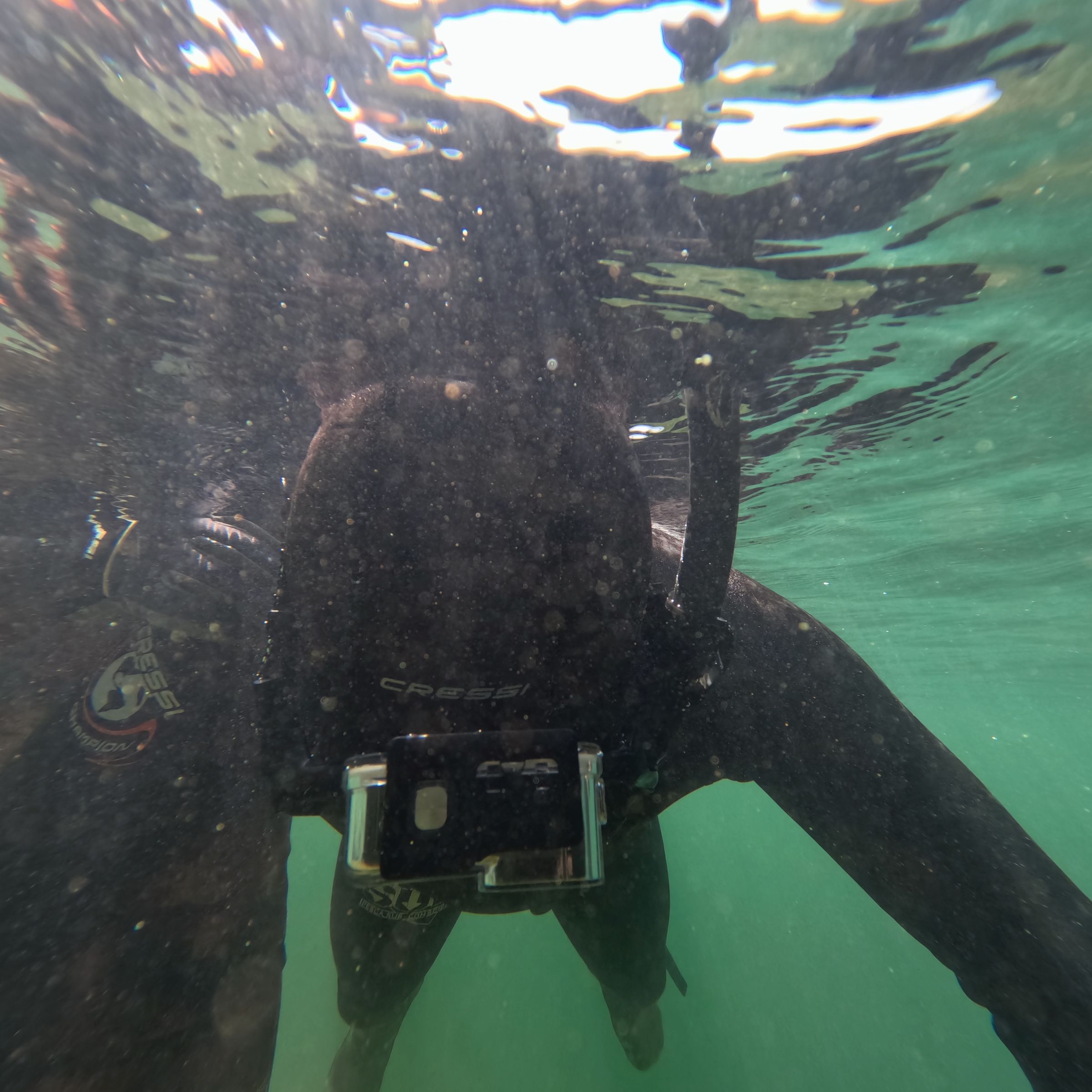 Curso de PESCA SUB em Rifaina/SP - 3 - 27