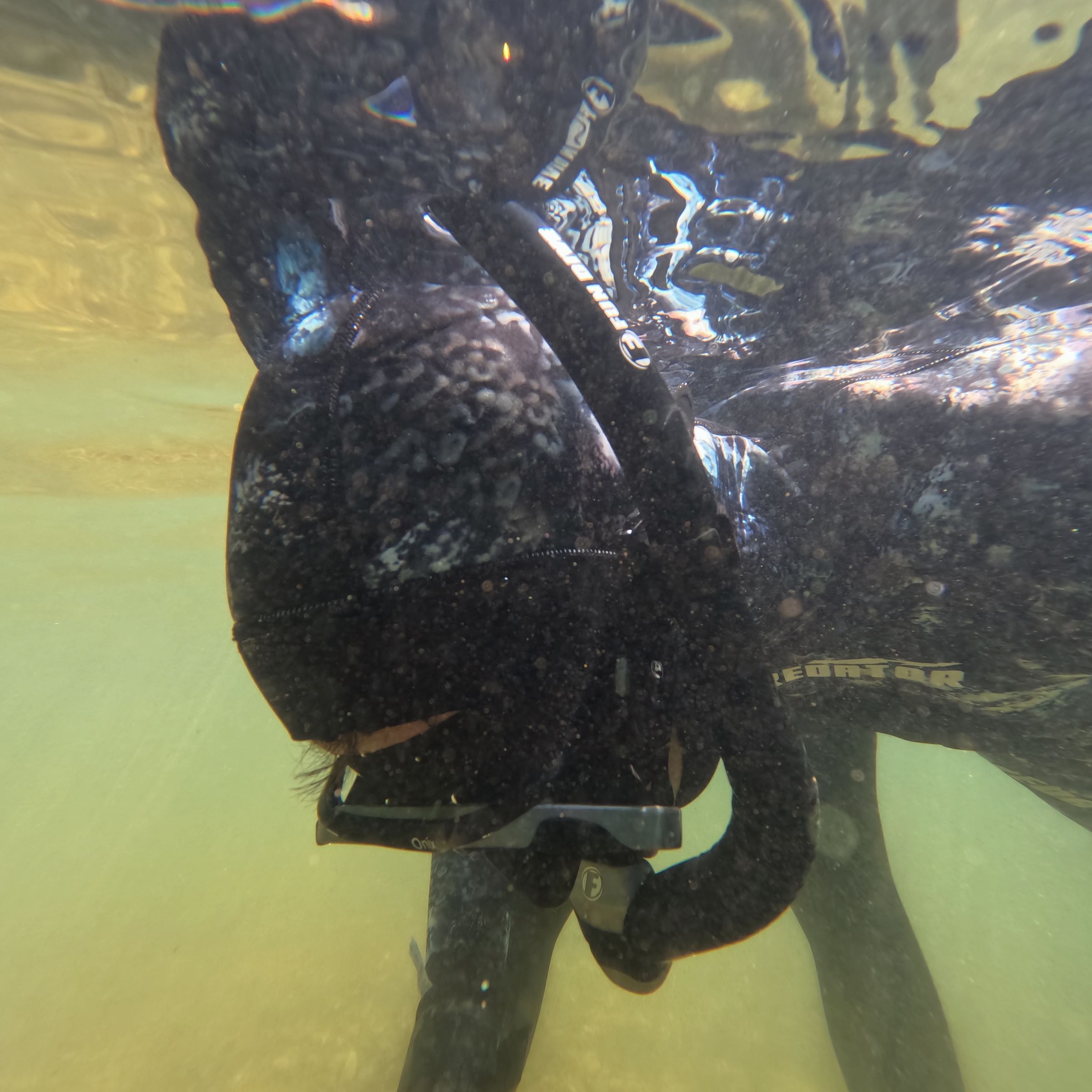 Curso de PESCA SUB em Rifaina/SP - 3 - 28