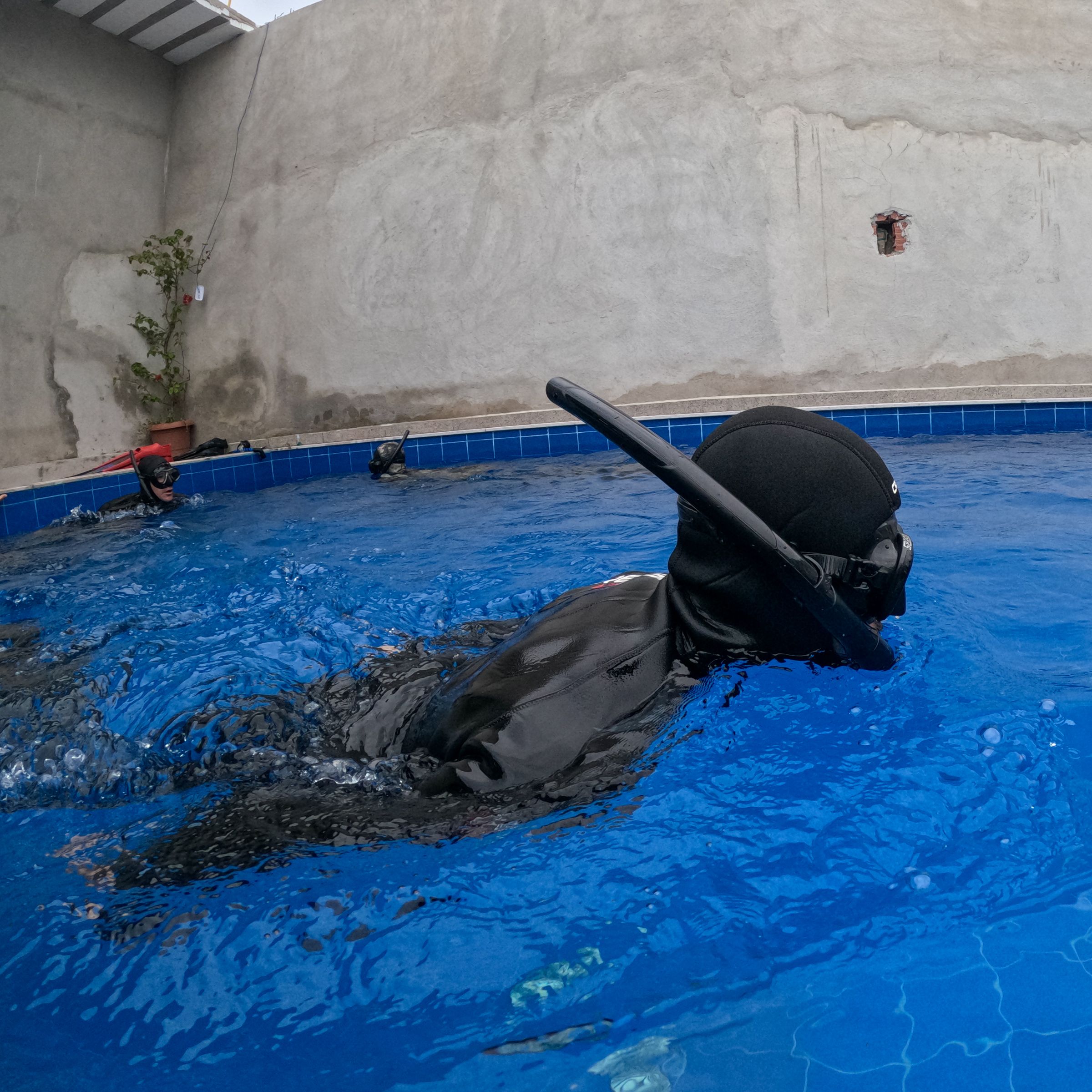 Curso de PESCA SUB em Vitória/ES - 3 - 1