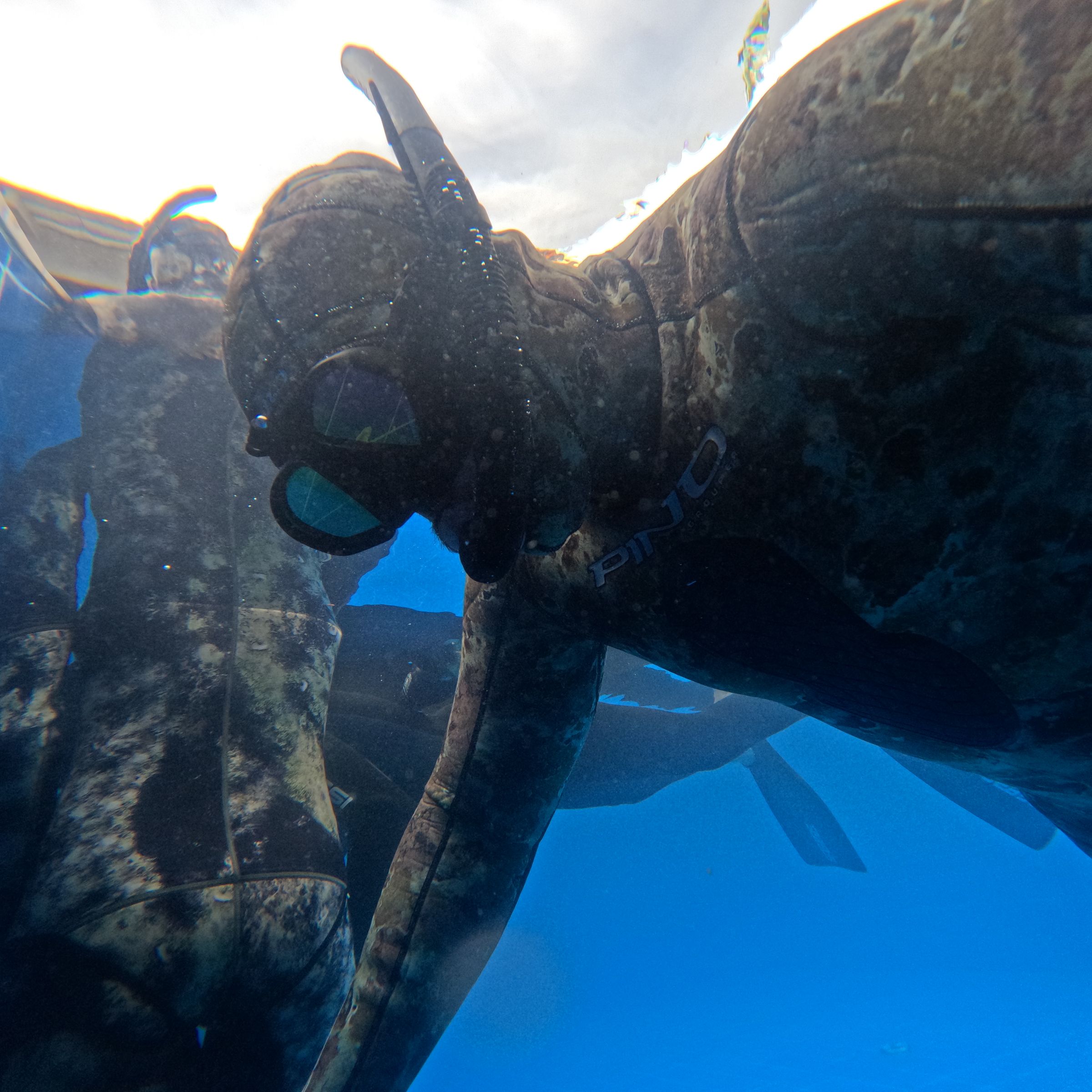 Curso de PESCA SUB em Vitória/ES - 3 - 12