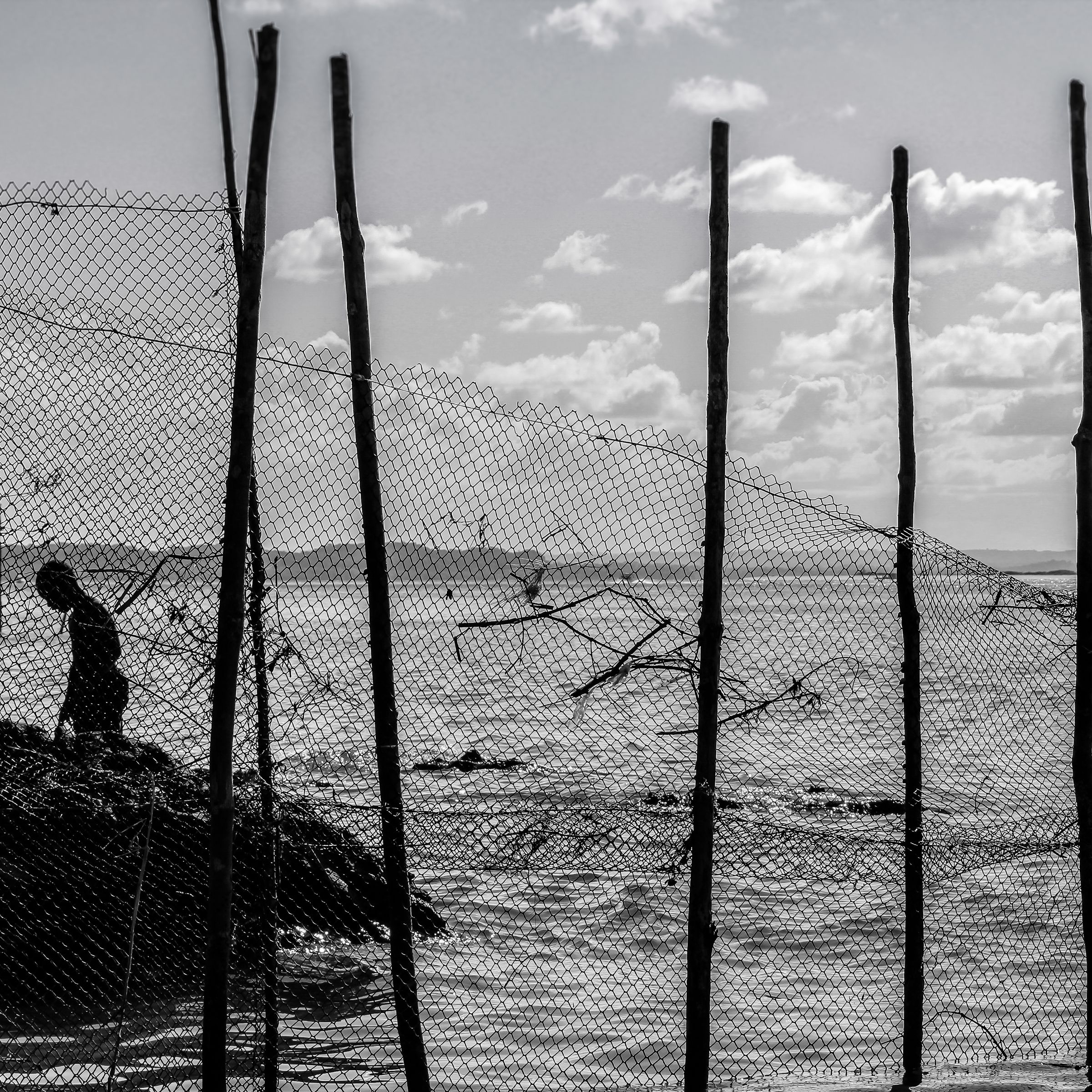 Fotos Aceitas e Premiadas - 2 - 6