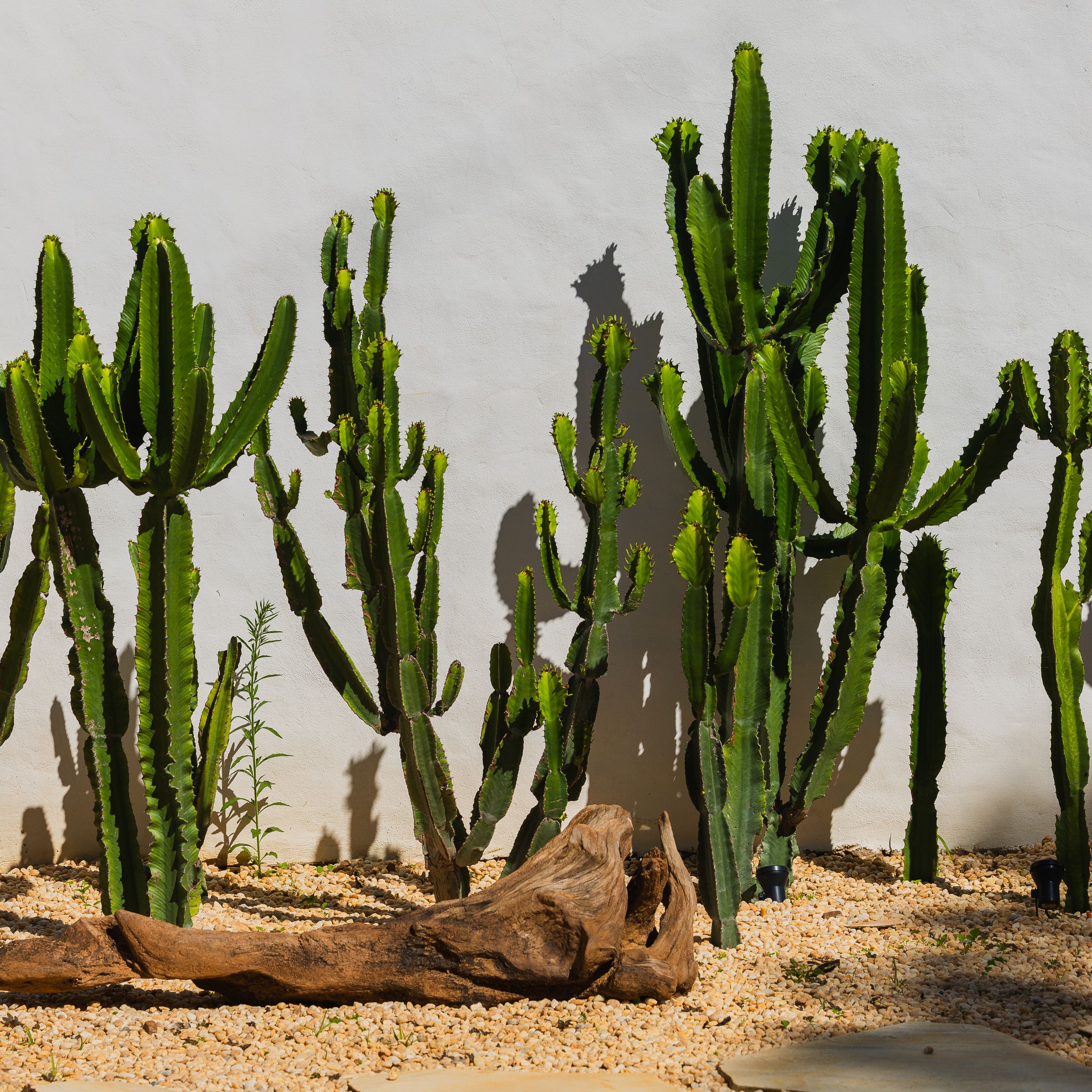 Campanhas e Publicidade - 1 - 160