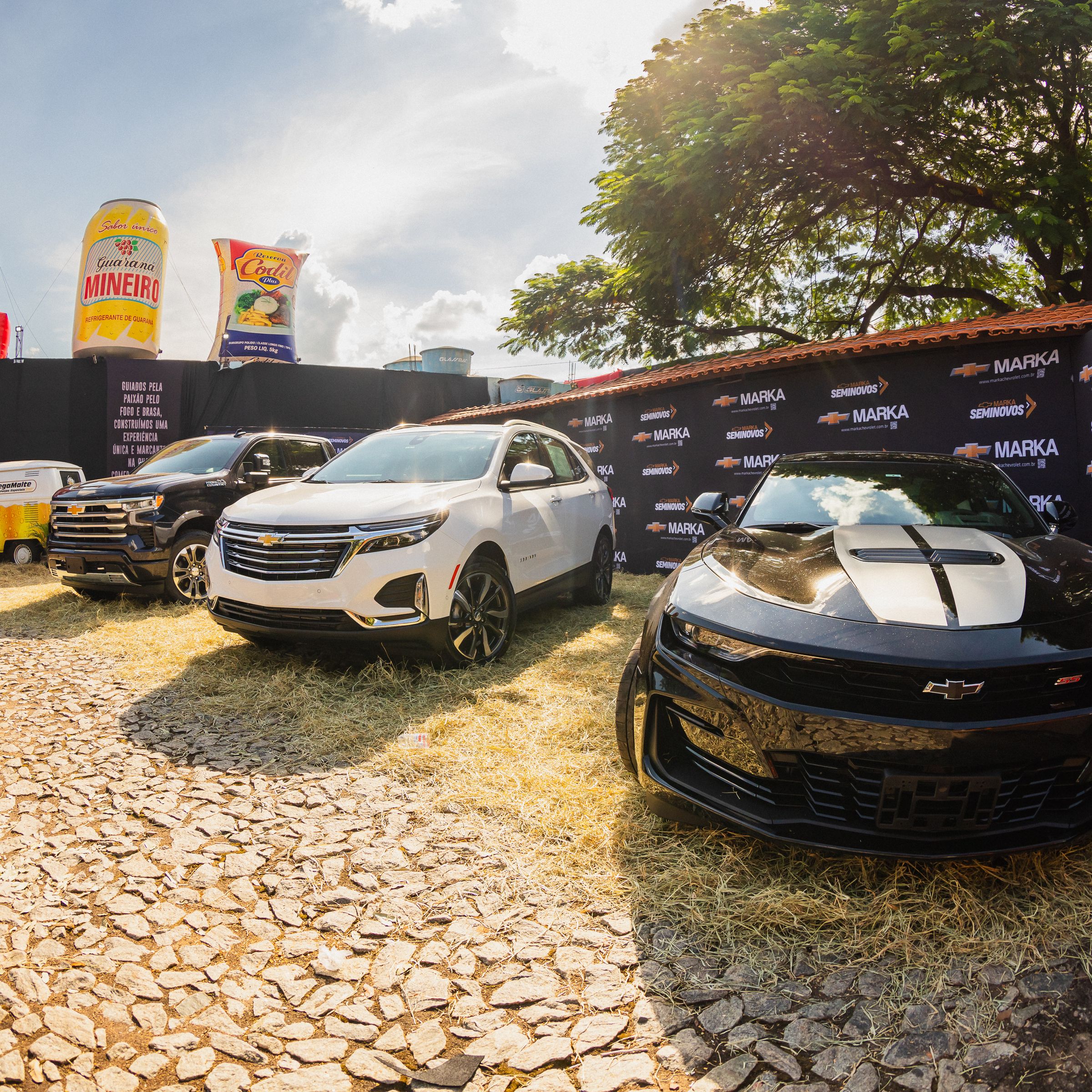 Show/Festas - 1 - 88