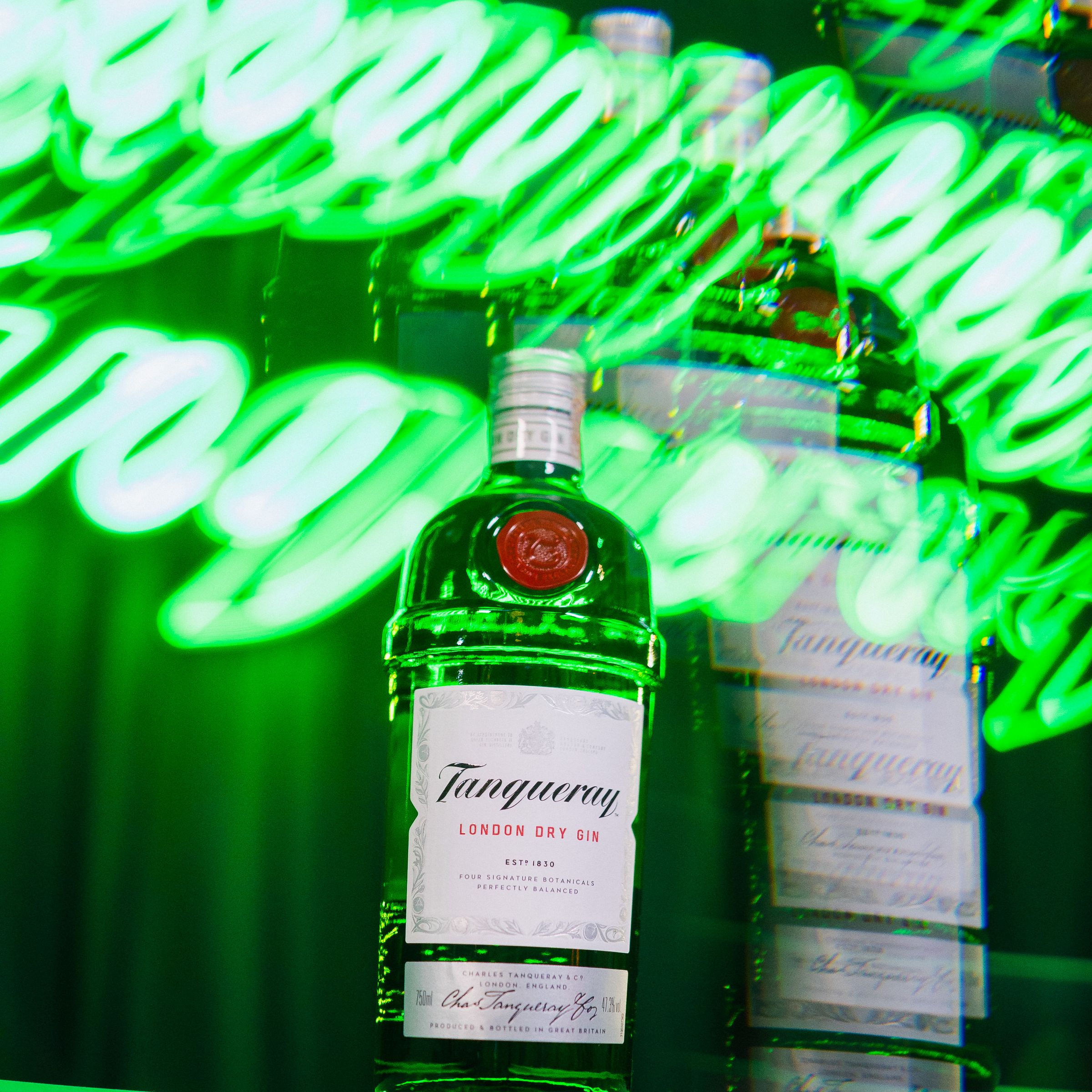 Show/Festas - 1 - 56