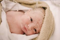 Fran Andrade Fotografia - 2