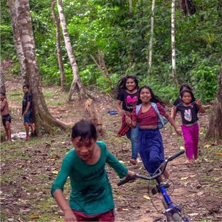 Foto e vídeo de ensaios, cobertura, documentários e muito mais... - 1