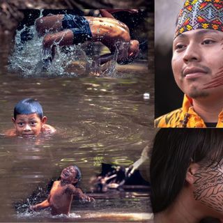 Foto e vídeo de ensaios, cobertura, documentários e muito mais... - 2