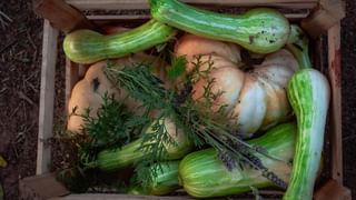 Foto e vídeo de ensaios, cobertura, documentários e muito mais... - 8