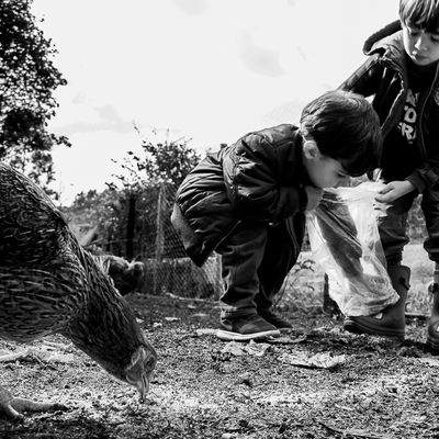 Vida na roça - Flávia Linhares - 1 - 3