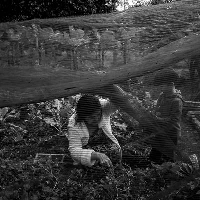 Vida na roça - Flávia Linhares - 1 - 0