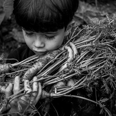 Vida na roça - Flávia Linhares - 1 - 3