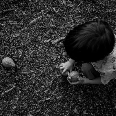 Vida na roça - Flávia Linhares - 1 - 0