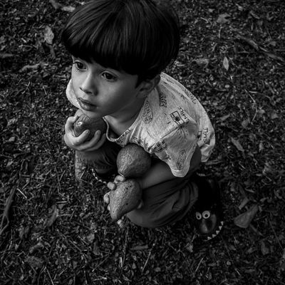 Vida na roça - Flávia Linhares - 1 - 1