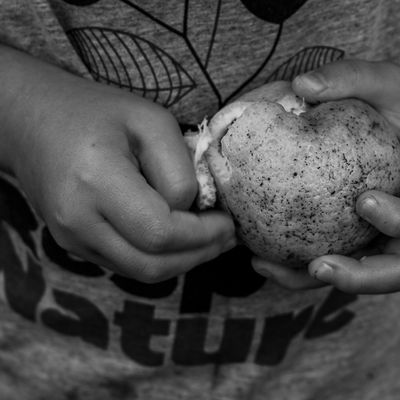 Vida na roça - Flávia Linhares - 1 - 3