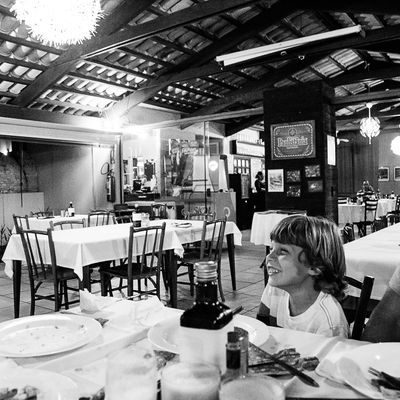 Família Figueiredo Ita - Carol Belini - 1 - 2