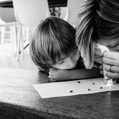 Família Figueiredo Ita - Carol Belini - 1 - 3