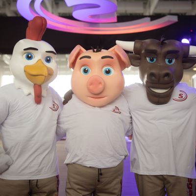 Eliandro Polidoro - 0 - 0