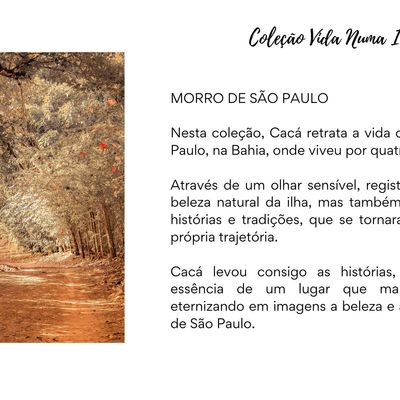 Vida numa Ilha - 3 - 0