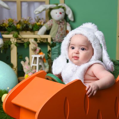 Studio Cida Lopes - 0 - 0