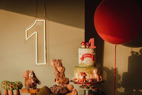 1 Ano da Gabi /1-ano-da-gabi