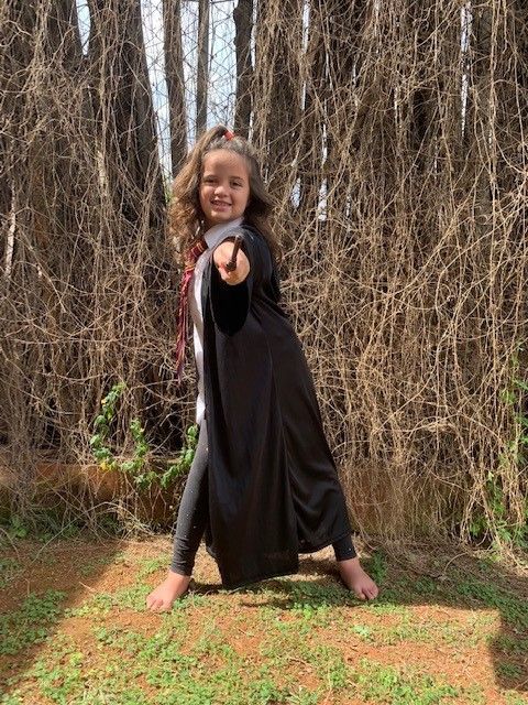 Abertura dos Parques da Universal em Orlando : novos procedimentos de segurança  - 1