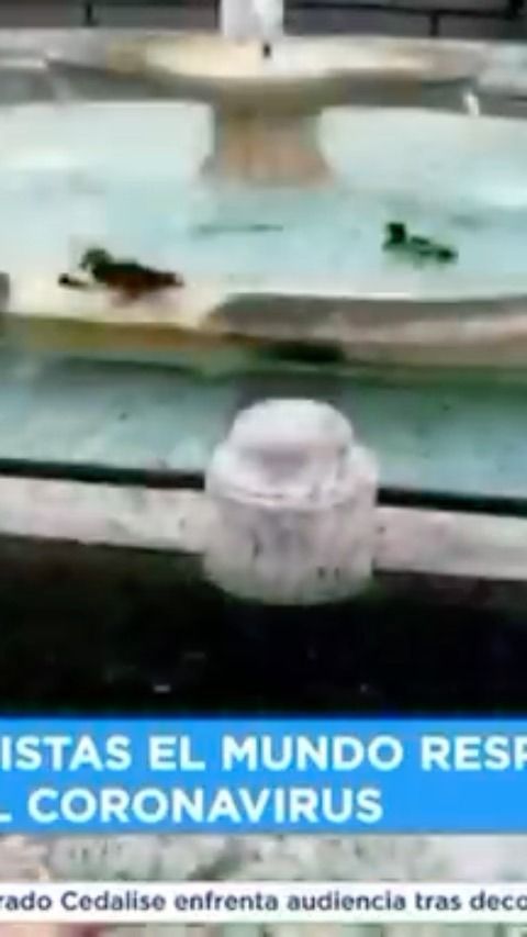 Coronavirus and quarantine - 5