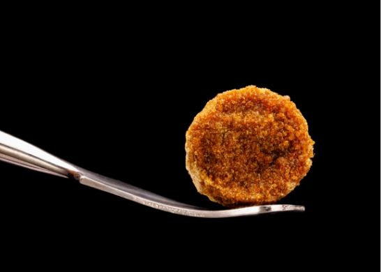 O que é haxixe? Origens, usos e como fazer - 14