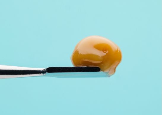 O que é haxixe? Origens, usos e como fazer - 16