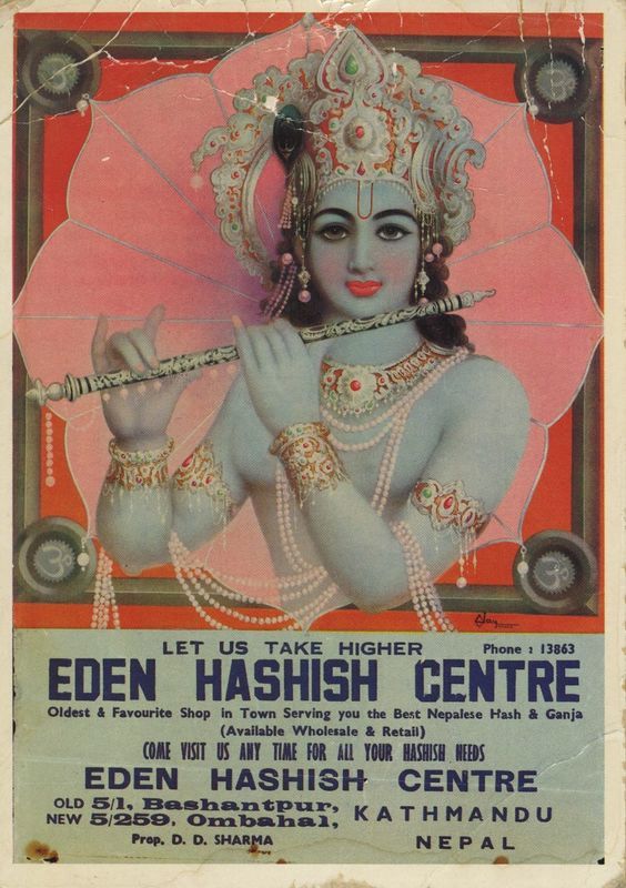 O que é haxixe? Origens, usos e como fazer - 6