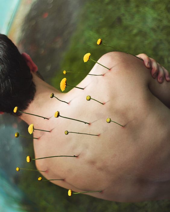 Tratamento com cannabis: uso terapêutico e benefícios para saúde - 6