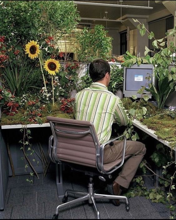 Kumbaya: o que é e como usar o blend com cannabis - 19