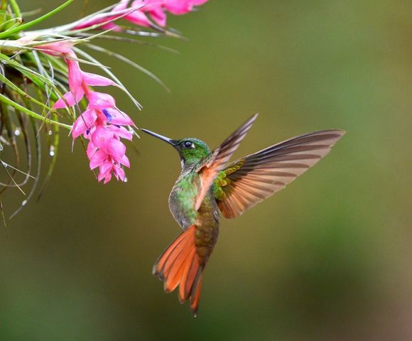 Olhar feminino homenageia mulheres no Riopreto Shopping /olhar-feminino-homenageia-mulheres-no-riopreto-shopping