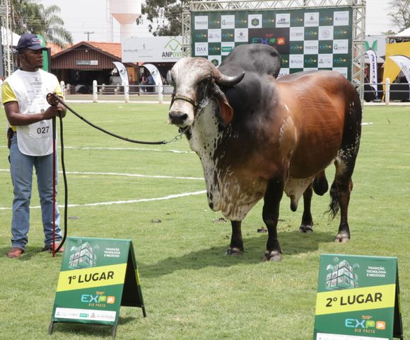 Expo Rio Preto 60 anos - maior feira agropecuária do Interior de SP /expo-rio-preto-60-anos-maior-feira-agropecuaria-do-interior-de-sp