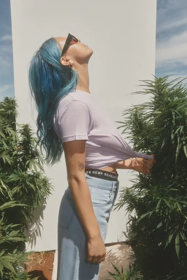 Cânhamo, o que é? Pra que serve e qual a diferença da Cannabis? - 5