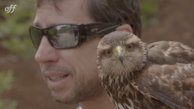 Asas do Sabiá - Canal Off T2 /asas-do-sabia-canal-off-t2