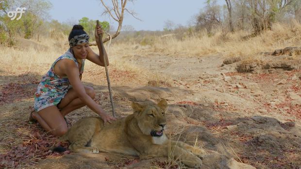 Zambeze Canal Off /zambeze-canal-off