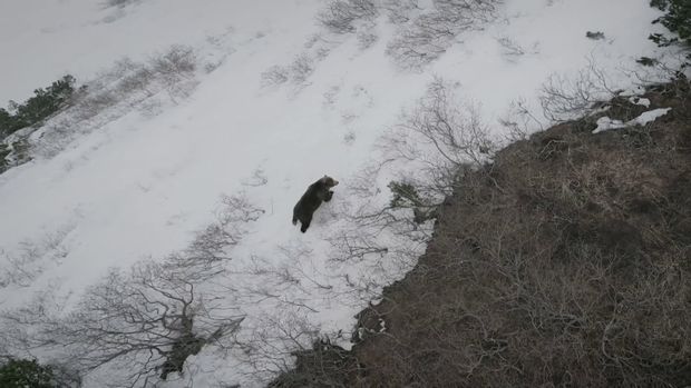 O Mundo inexplorado: Canal Off /o-mundo-inexplorado-canal-off