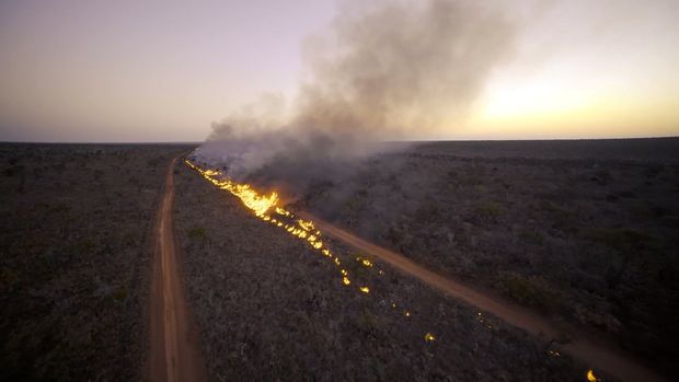 Cerrado em Chamas /cerrado-em-chamas