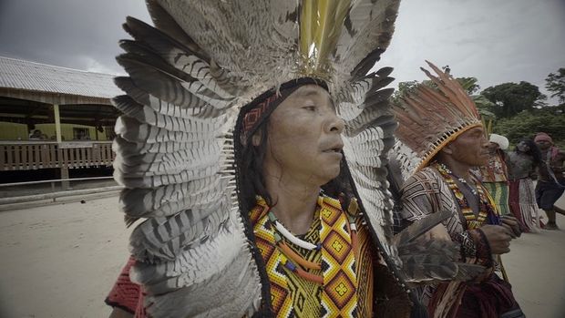 Uma vivencia inesquecível com os HuniKuin. An incredible experience with the HuniKuin on the Brazil-Peru bourder. @theboafoundation /uma-vivencia-inesquecivel-com-os-hunikuin-an-incredible-experience-with-the-hunikuin-on-the-brazil-peru-bourder-at-theboafoundation