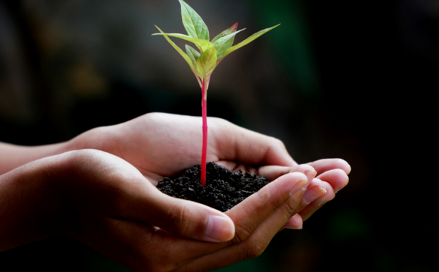 Potência do elemento: TERRA /potencia-do-elemento-terra