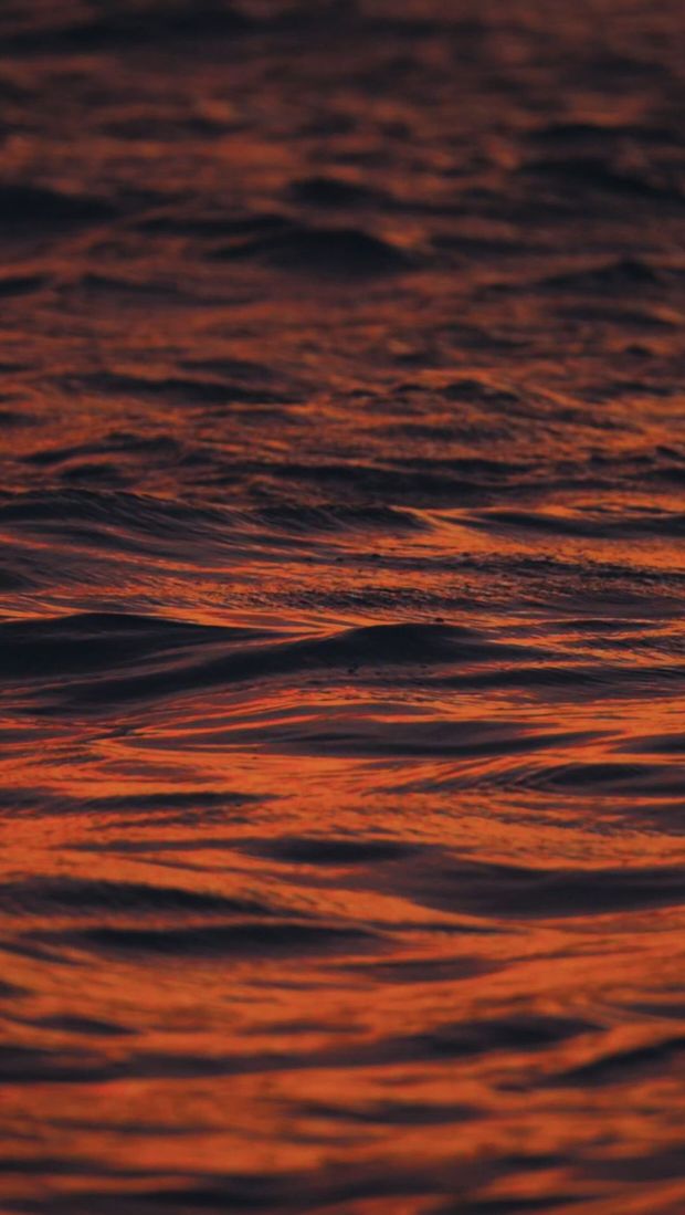 Querido Universo, /querido-universo