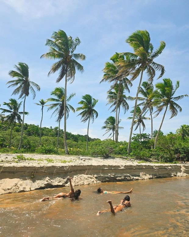 Retiro Yerba Caraíva 2025 /retiro-yerba-caraiva-2025