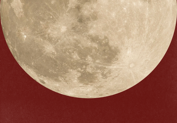 Ciclicidade Feminina /ciclicidade-feminina