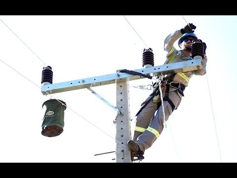 Institucional /institucional